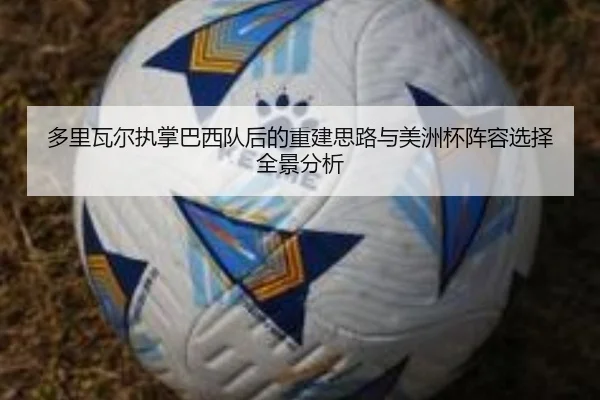 多里瓦尔执掌巴西队后的重建思路与美洲杯阵容选择全景分析 | kaiyun