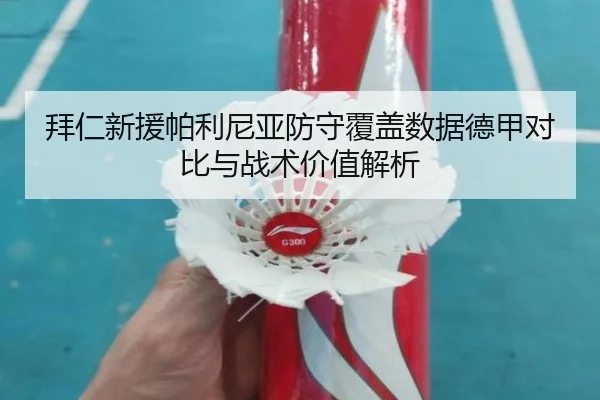 拜仁新援帕利尼亚防守覆盖数据德甲对比与战术价值解析